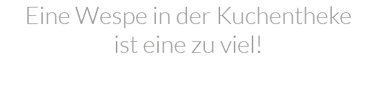 Eine Wespe in der Kuchentheke ist eine zu viel!